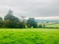 Luxury Stargazing Glamping - Seren Aur with Hot Tub - Bed and Breakfast