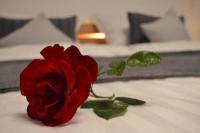 Ruhige Ferienwohnung im Grünen - B&B Arnsberg