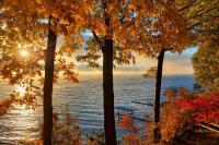 Seneca Lake Log Cabin - B&B