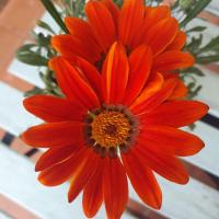 Quarto Cintra - B&B