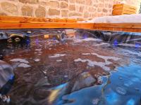 Villa Geronimo - Bed and Breakfast Bansko