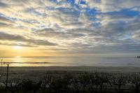 Family cocoon on the seafront - B&B