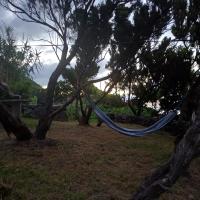 Casa Do Salgueiro - B&B