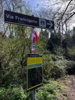 Luxury in the Jungle - Ferienwohnung