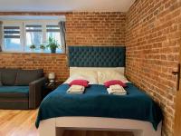 B&B Torun - Apartment Konopnickiej - PARKING FREE - Bed and Breakfast Torun