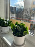 Apartament TrzyMaj - B&B Zakopane