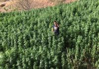 Ketama كتامة المغرب - B&B Ketama