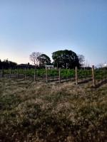 Finca Doña Antonia - B&B Pueblo Moreno