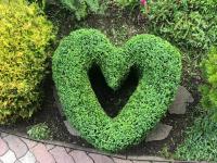 Gästehaus Kübler - B&B Haus im Ennstal