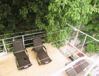 Jumanji - B&B Palomino