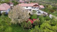 B&B Pruniș - Countryside Home - Bed and Breakfast Pruniș