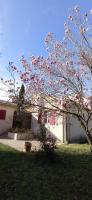B&B Beaucaire - UNE CHOUETTE MAISON - Bed and Breakfast Beaucaire