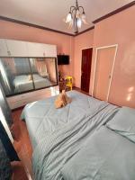 Habitación Deluxe - 1 cama grande