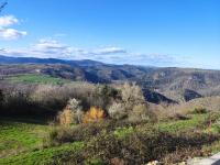 Appartamento