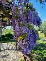 Tranquilidade Alentejana - B&B São Cristóvão