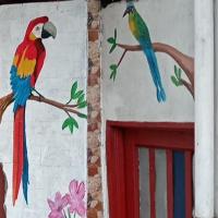 B&B Manizales - Hostal Piedra del Ocaso - Bed and Breakfast Manizales