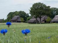 B&B Dwingeloo - Gastenverblijf Lheederhof - Bed and Breakfast Dwingeloo