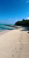 Parea Lodge Huahine Bungalow 1#MAHANA - Chambres d’hôtes Parea