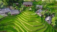 My's Homestay sapa - B&B