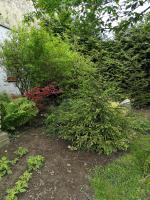 Na domečku - B&B Bořetice