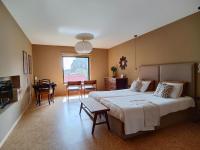 Deluxe Double or Twin Room with City View