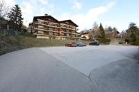 Peak view - 4 persons - Ferienwohnung Ovronnaz