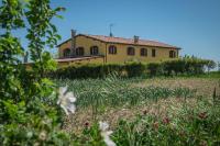 B&B La Casa del Gallese - B&B Sorbolongo