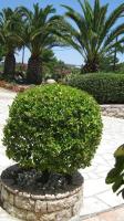 Appartement - Vue sur Jardin