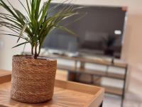 Apartamento en PLENO CENTRO con APARCAMIENTO opcional - Chambres d’hôtes Cordoue