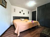 Suite Junior