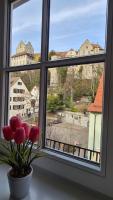 Schwabenstuben Apartment - B&B Meersburg