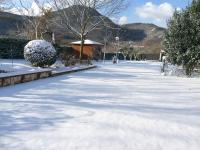 Villa con Piscina Privata 