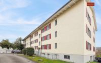 Charming Apartment in Zurich - B&B