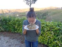 Cascina Romanino - Ferienwohnung Mango