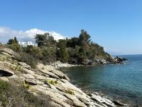 Apartamento de 1 dormitorio - lado mar