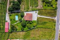 Quinta Alvaredo - B&B Melgaço