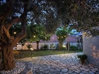 Μονοκατοικία - The Olive Tree - B&B Nafpaktos