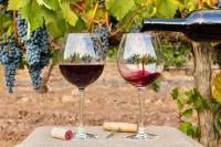 Seaview Elegant Apartment - Balcony Facing Beach & Garage - Praia da Rocha - Chambres d’hôtes Portimão