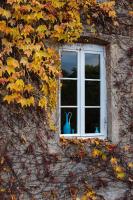 Moulin Renaudiots - Maison d'hôtes - Ferienwohnung