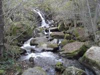 Entre Vulcania et le Sancy - B&B Gelles