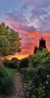 Begonia Cottage - B&B