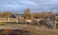 Casona Los Coihues - Bed and Breakfast Tolhuin