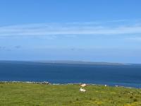Ocean View Doolin - B&B Doolin