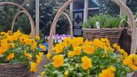 Fleurdelis - B&B