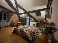Appartamento con 1 Camera da Letto