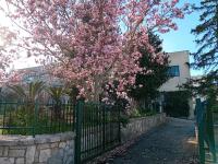 MT House - B&B Alberobello