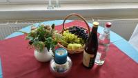 Studio met Terras