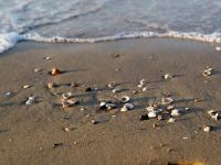 Experience the beach breeze in our bright flat - B&B