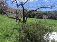 Finca del Abu - B&B Los Marines