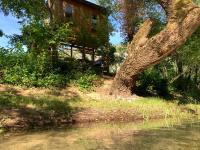 Delightful Treehouse w private beach - B&B